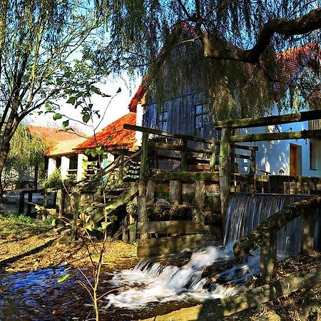 Pensiunea Moara Lu Antone Orastioara de Sus Exteriér fotografie