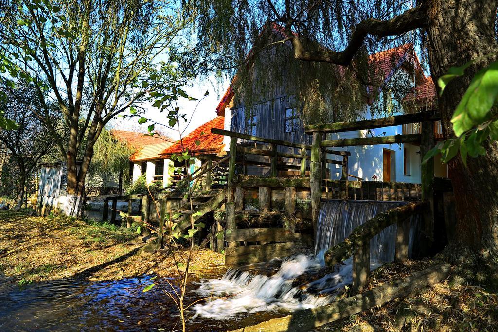 Pensiunea Moara Lu Antone Orastioara de Sus Exteriér fotografie